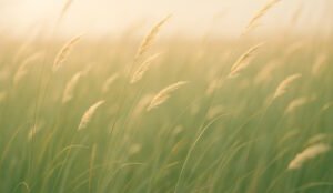 Streso mažinimas natūraliai: būdai vidinei ramybei