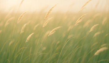 Streso mažinimas natūraliai: būdai vidinei ramybei